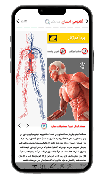 برنامه نویسی